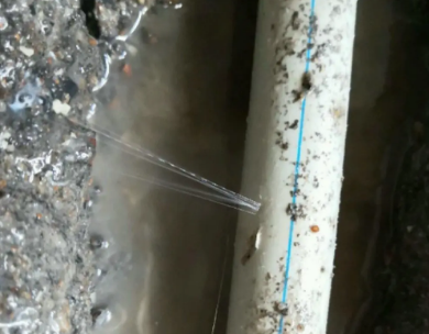 宝清测漏水哪家好