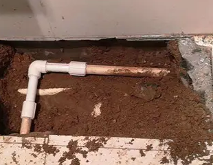 宝清测漏水哪家好