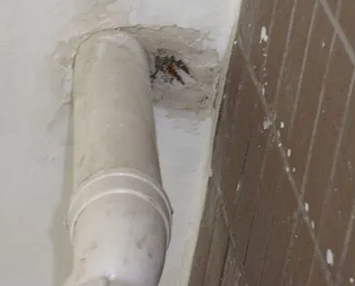 宝清漏水检测哪家好