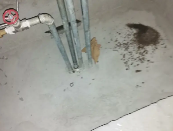 宝清卫生间测漏水价格明细